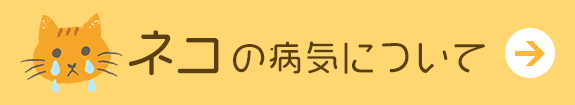 猫の病気について