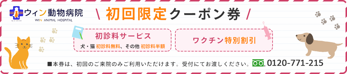 初回限定クーポン