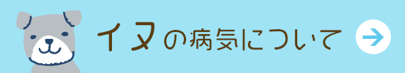 犬の病気について