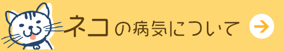 猫の病気について