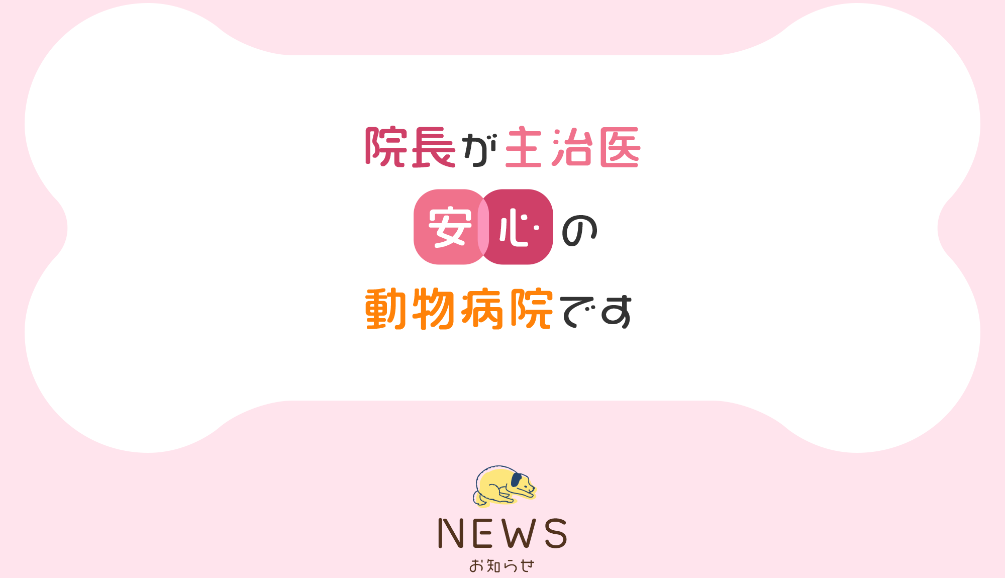院長が主治医安心の動物病院です。