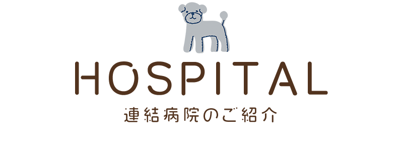 連結病院のご紹介
